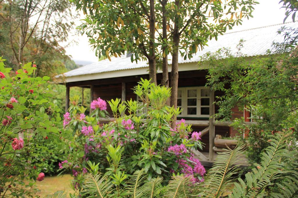 Posada Queulat Puerto Puyuguapi Habitación foto